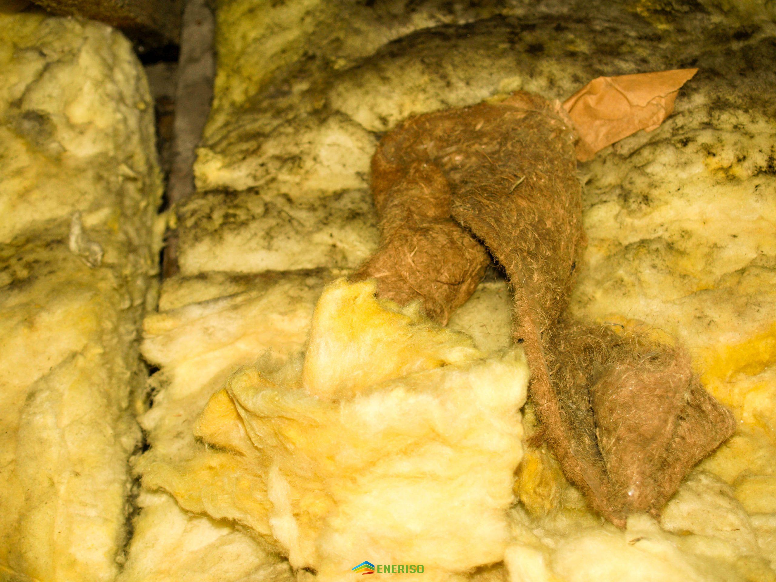 Schimmel Icynene, wol, knauf